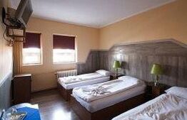 Pensiune de inchiriat, 450 mp, zona Lugojului