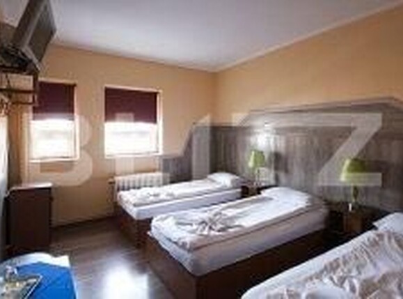 Spațiu comercial de închiriat Lugojului - 180019SIC | BLITZ Timișoara | Poza1