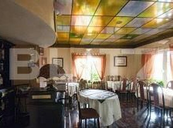 Spațiu comercial de închiriat Lugojului - 180019SIC | BLITZ Timișoara | Poza8