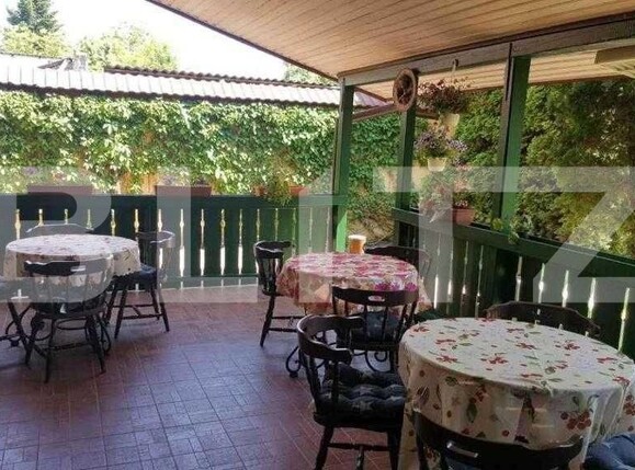 Spațiu comercial de închiriat Lugojului - 180019SIC | BLITZ Timișoara | Poza9