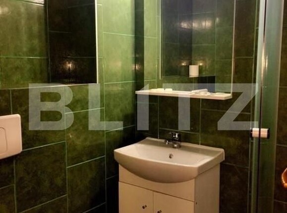 Spațiu comercial de închiriat Lugojului - 180019SIC | BLITZ Timișoara | Poza7