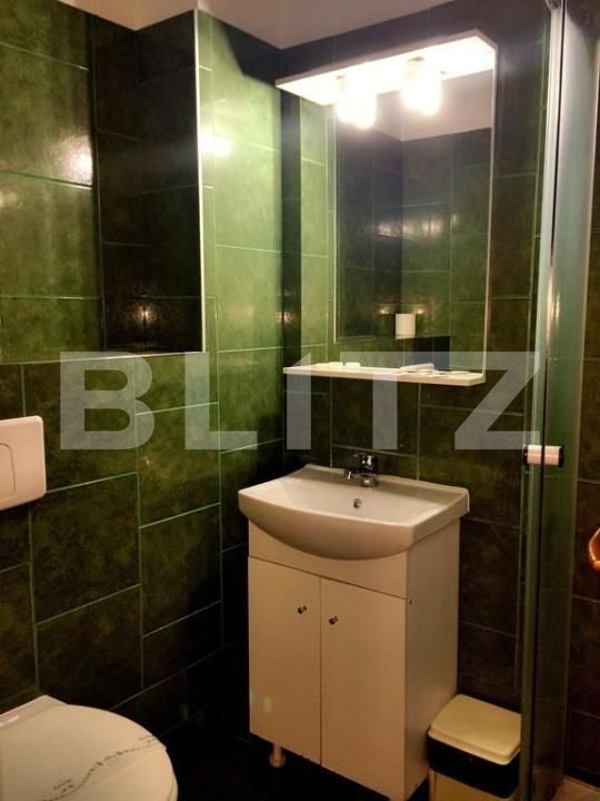 Spațiu comercial de închiriat Lugojului - 180019SIC | BLITZ Timișoara | Poza7