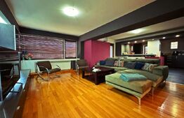 Apartament doua niveluri, 139 mp si terasă, 4 camere, Dorobantilor