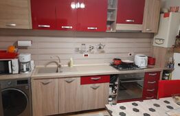 Apartament 2 camere, 50 mp, zona Freidorf