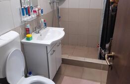 Apartament 2 camere, 50 mp, zona Freidorf