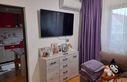 Apartament 2 camere, 50 mp, zona Freidorf
