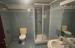 Casă de vânzare, 170 mp, zona Lipovei