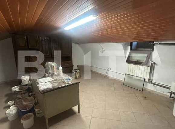 Casa de vânzare 6 camere Lipovei - 180244CV | BLITZ Timișoara | Poza24