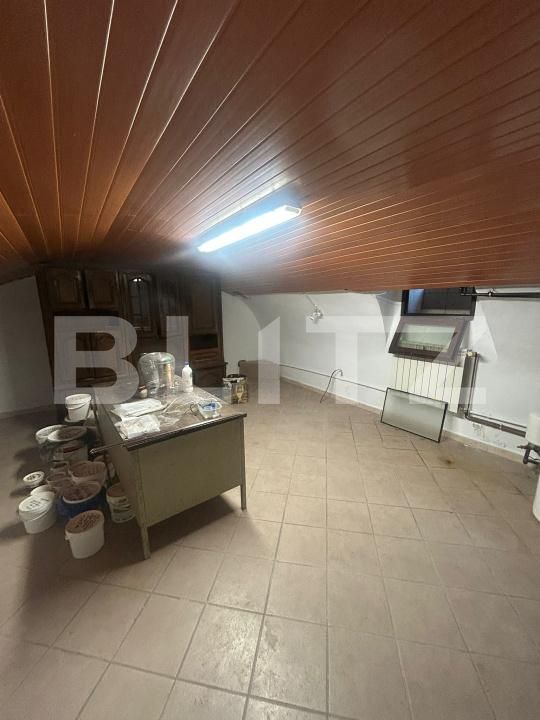 Casa de vânzare 6 camere Lipovei - 180244CV | BLITZ Timișoara | Poza24
