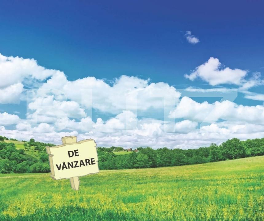 Teren de vânzare Mosnita Noua - 180294TV | BLITZ Timișoara | Poza2