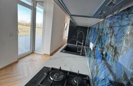 Penthouse 3 camere, 79.80 mp, Calea Torontalului