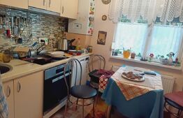 Apartament cu 3 camere, 114 mp total, zona Iosefin