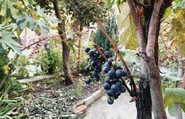 Apartament cu 3 camere, 114 mp, zona Iosefin