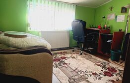 Apartament cu 3 camere, 114 mp total, zona Iosefin