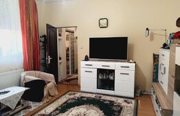 Apartament cu 3 camere, 114 mp total, zona Iosefin