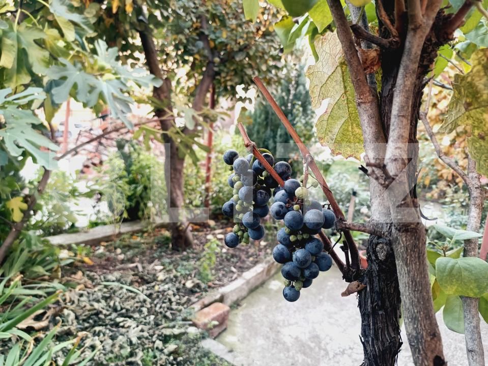 Apartament de vânzare 3 camere Iosefin - 180819AV | BLITZ Timișoara | Poza7