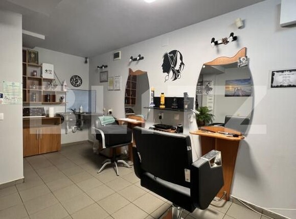 Spațiu comercial de vânzare Lunei - 180952SVC | BLITZ Timișoara | Poza1