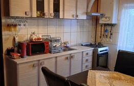 Apartament 2 camere, 40 mp, zona Torontalului