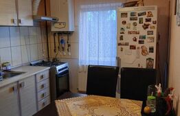 Apartament 2 camere, 40 mp, zona Torontalului