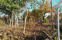 Casa 2 camere, 50 mp, zona Fratelia