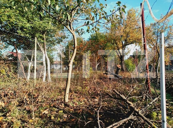 Casa de vânzare 2 camere Fratelia - 181191CV | BLITZ Timișoara | Poza9