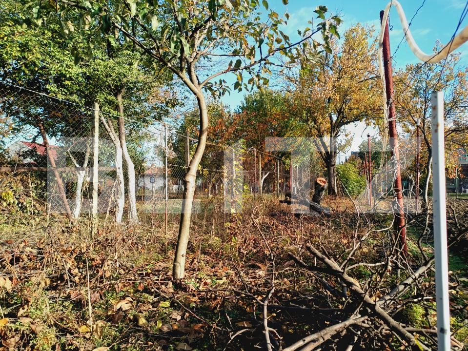 Casa de vânzare 2 camere Fratelia - 181191CV | BLITZ Timișoara | Poza9