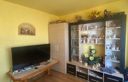 Apartament cu 2 camere, zona Dambovita
