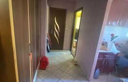 Apartament cu 2 camere, zona Dambovita