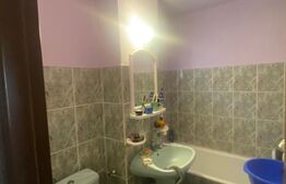 Apartament cu 2 camere, zona Dambovita