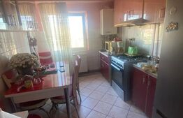 Apartament cu 2 camere, zona Dambovita