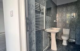 Spațiu comercial, 96 mp, zona Lipovei