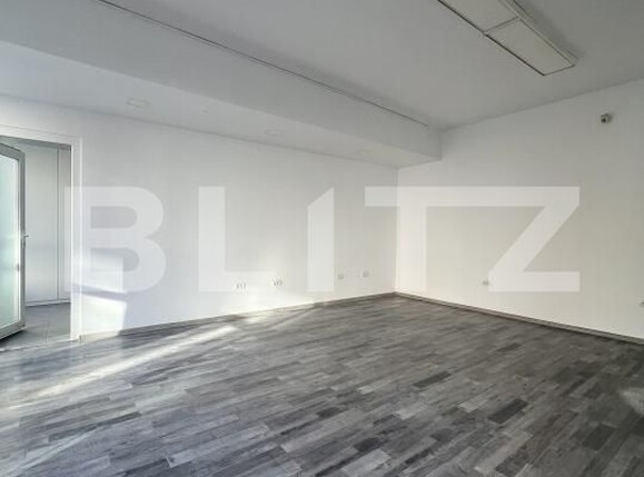 Spațiu comercial de închiriat Lipovei - 181355SIC | BLITZ Timișoara | Poza3