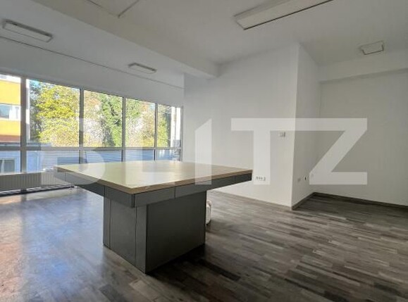 Spațiu comercial de închiriat Lipovei - 181355SIC | BLITZ Timișoara | Poza1