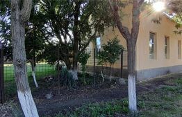 🏡 Casa mare de vanzare Checea 220mp