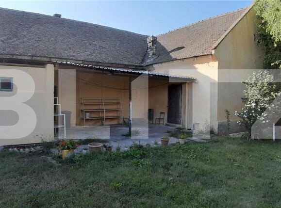 Casa de vânzare 6 camere Checea - 181379CV | BLITZ Timișoara | Poza4