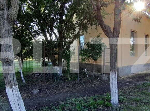 Casa de vânzare 6 camere Checea - 181379CV | BLITZ Timișoara | Poza3