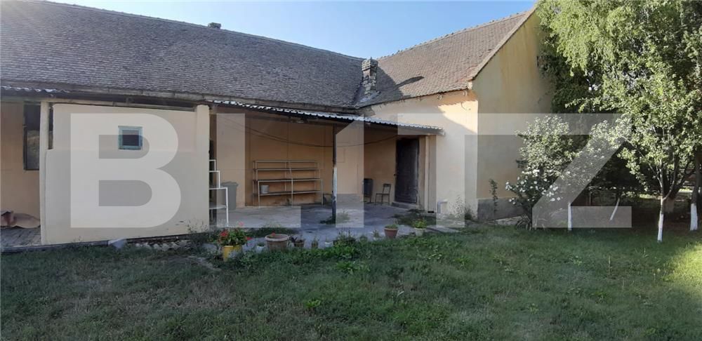 Casa de vânzare 6 camere Checea - 181379CV | BLITZ Timișoara | Poza4