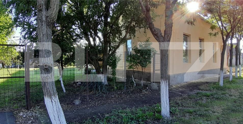 Casa de vânzare 6 camere Checea - 181379CV | BLITZ Timișoara | Poza3