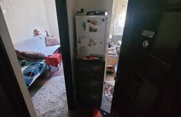 Garsoniera de vanzare Freidorf