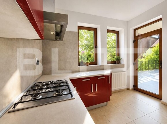 Casa de vânzare 5 camere Torontalului - 181490CV | BLITZ Timișoara | Poza10