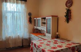 Casă individuală, Suprafață generoasa, Comuna Peciu Nou