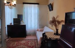 Casă individuală, Suprafață generoasa, Comuna Peciu Nou