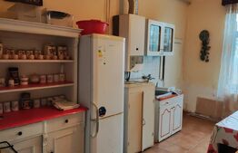 Casă individuală, Suprafață generoasa, Comuna Peciu Nou