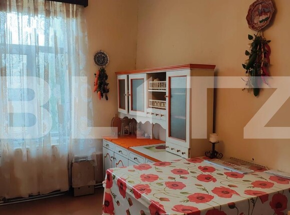 Casa de vânzare 6 camere Peciu Nou - 181499CV | BLITZ Timișoara | Poza3