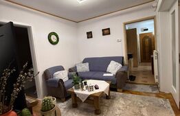 Apartament 5 camere, 101.20 mp, zona Take Ionescu 