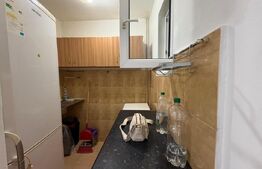 Apartament 2 camere, 31.53 mp, zona Șagului