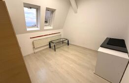 Apartament 3 dormitoare, 110 mp utili, Calea Torontalului