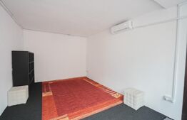 Casa Individuala cu teren 740 mp si potențial de investitie Chisoda