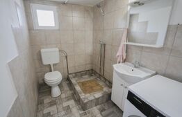 Casa Individuala cu teren 740 mp si potențial de investitie Chisoda