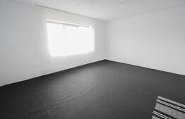 Casa Individuala cu teren 740 mp si potențial de investitie Chisoda